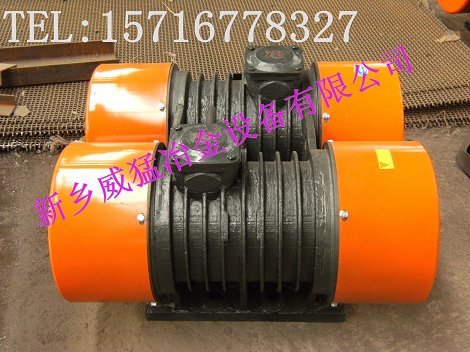 高品質WLZD-2*17-4直線自振源 大量生產