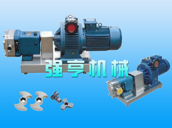 廈門強(qiáng)亨不銹鋼蝴蝶型轉(zhuǎn)子泵結(jié)構(gòu)緊