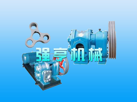 廈門強(qiáng)亨不銹鋼羅茨轉(zhuǎn)子泵