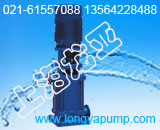 供應(yīng)150DL160-25×5多級法蘭連接泵產(chǎn)品圖片