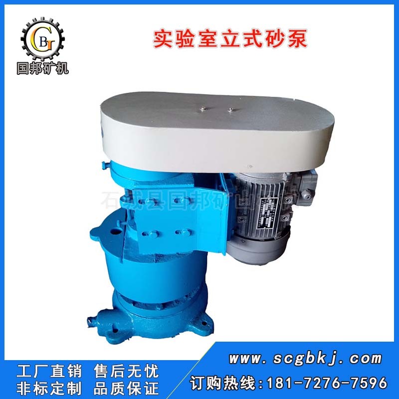 實驗室砂泵 XBSL立式砂泵 小型礦漿輸送泵 尾礦渣漿泵