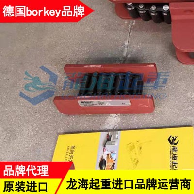 60噸履帶式滾輪小車,鉆井平臺移運用德國borkey滾輪