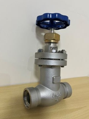 波紋管安全閥KHWJ65F16P