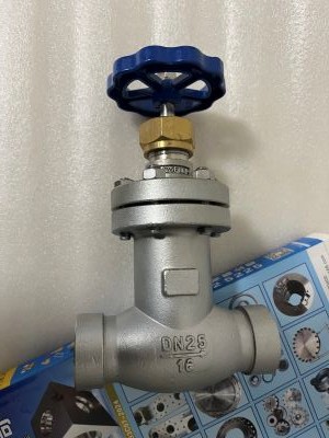 波紋管安全閥KHWJ100F16P