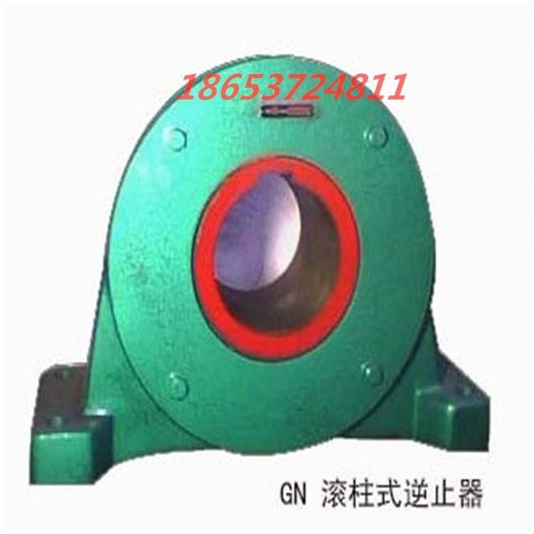  GN(DTIIN1)系列滾柱逆止器