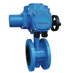 興麥隆 EB3026-CB6100F法蘭電動(dòng)蝶閥