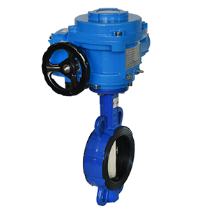 興麥隆 EB3026-CB6100對(duì)夾式電動(dòng)蝶閥