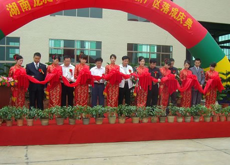 湖南龍昶機械工程有限公司