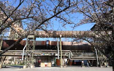 寧國水泥廠生產現場優美整潔