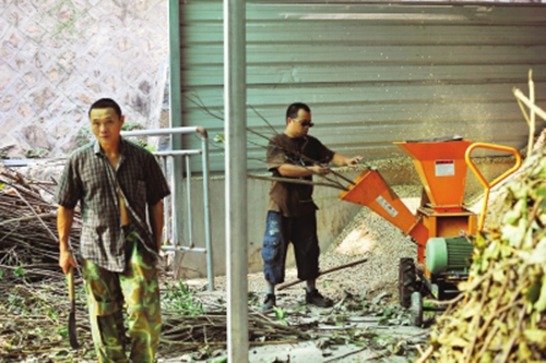 工人在用碎木機(jī)碎樹枝     