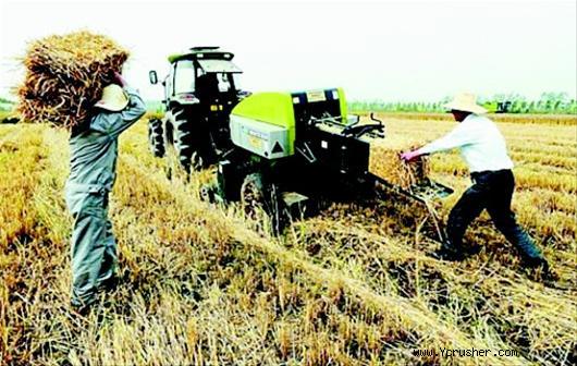 麥?zhǔn)崭罴竟?jié)，荊州市在江北農(nóng)場推廣秸稈綜合利用，展示多種收割、收集、打包和運(yùn)輸?shù)冉斩捇厥障嚓P(guān)的機(jī)械設(shè)備，以及后期綜合利用的方法和手段。